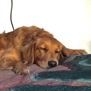 Meet your Posher, Hunter